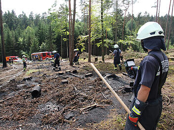 Feuerwehr löscht Brand in einem Waldstück