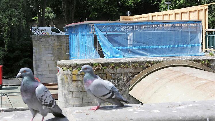Hinter der blauen Plane erhält gerade das westliche der beiden Hochwassersperrtore einen neuen Rostschutzanstrich. Im Vordergrund ist gut die zweite der beiden eisernen Halbschalen zu erkennen, mit deren Hilfe die Altstadt seit 1964 hochwasserfrei gehalten wird. Foto: Matthias Hoch