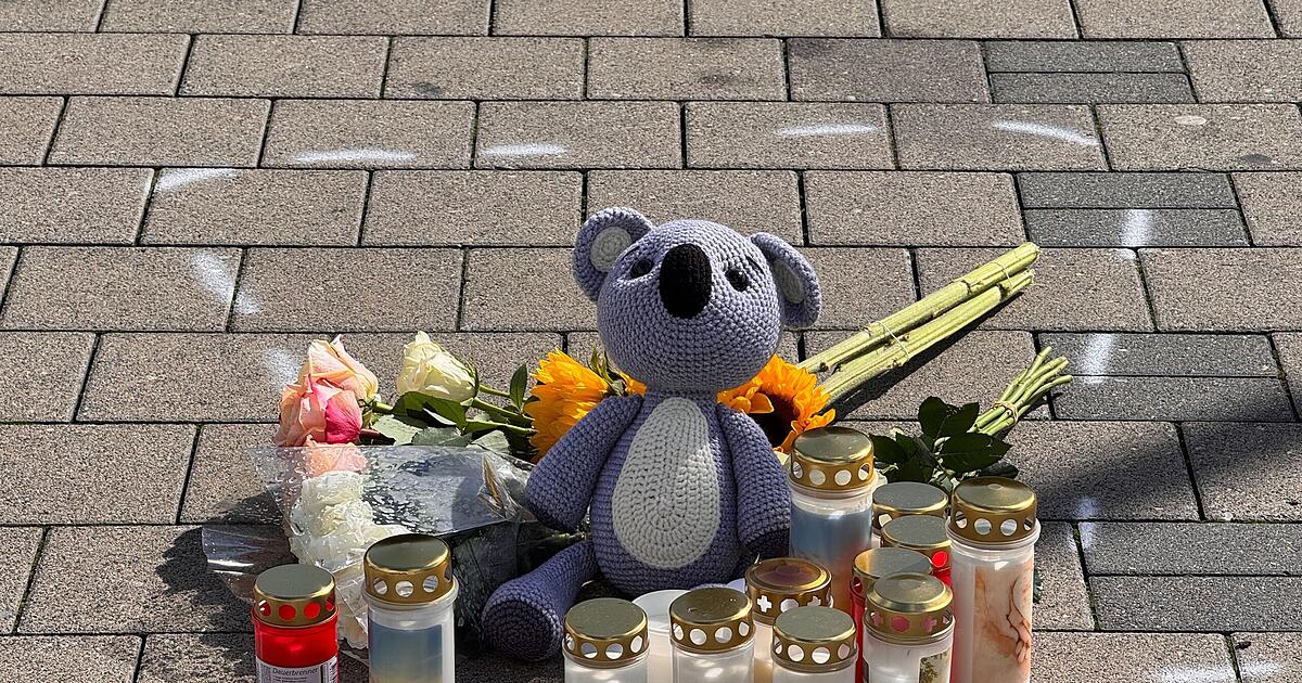 'No one can feel our pain': Mother of twelve-year-old mourns her ...