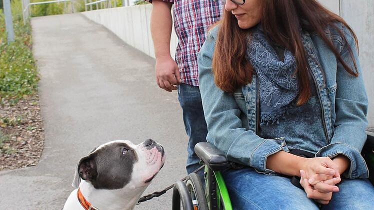 Kai-Uwe wird zum Rollstuhlbegelithund ausgebildet. F&uuml;r Sophie wird das eine gro&szlig;e Hilfe und auch ein weiterer Beitrag f&uuml;r etwas mehr Normalit&auml;t in ihrem Leben sein. Im Hintergrund Freund Swen. Fotos: Manja von Nida