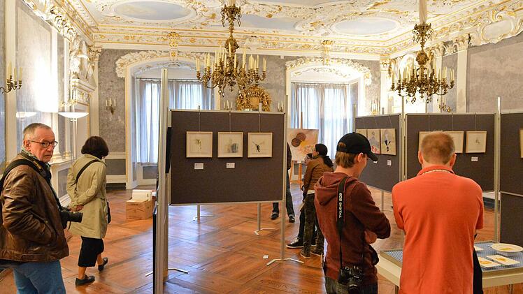 Coburg leuchtet bei der Museumsnacht 2014. Foto: Ronald Rinklef