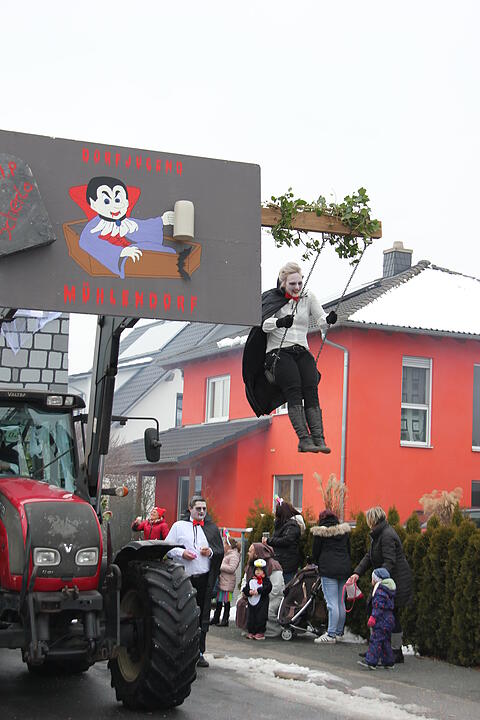 Faschingsumzug in Oberhaid