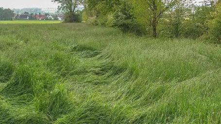Diese Spuren in einem Feld sind für Christopher Pittrof ein Beleg, dass dort tatsächlich ein Tornado getobt hat. Foto: Christopher Pittrof