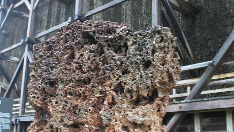 Reisig mit versteinertem Ocker als Denkmal. Foto: Mäuser