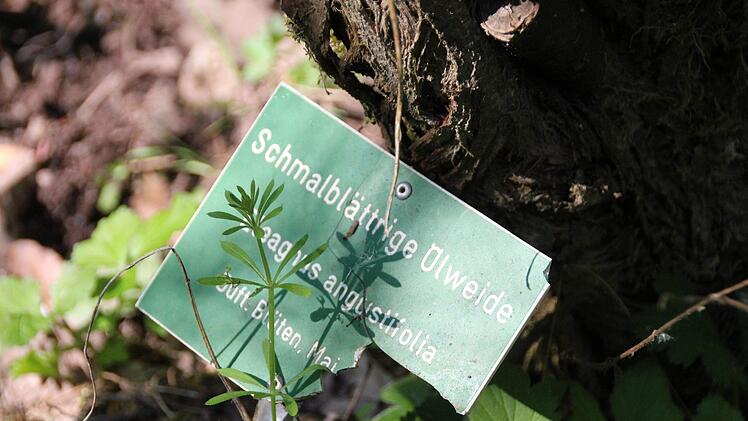 ... und die weniger schöne: Schilder fehlen... Foto: Benedikt Borst