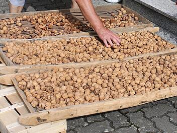 Die Waln&uuml;sse werden auf Darren getrocknet. Bei sch&ouml;nem Wetter geschieht das im Freien. Foto: Josef Schr&ouml;der