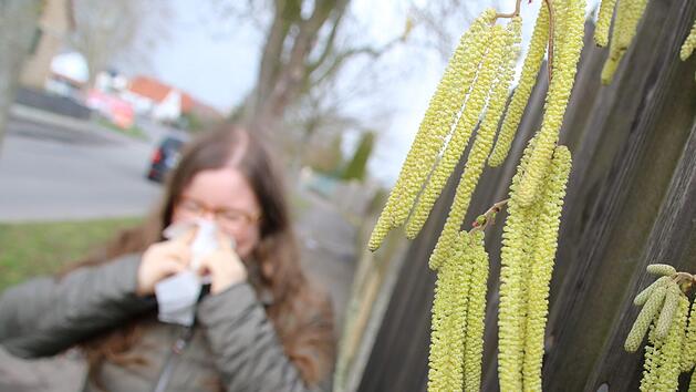 Zwar ist der Fr&uuml;hling gef&uuml;hlt noch nicht ausgebrochen, allerdings hat der meteorologische Fr&uuml;hling bereits begonnen. Allergiker wissen das schon seit Wochen. Obwohl es teilweise noch schneit, st&uuml;rmt und bitterkalt ist, leiden sie unter den fliegenden Pollen.  Foto: Jutta Rudel