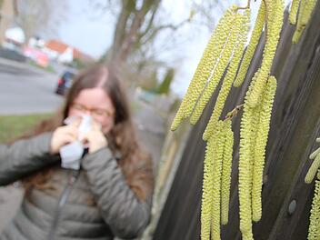 Zwar ist der Frühling gefühlt noch nicht ausgebrochen, allerdings hat der meteorologische Frühling bereits begonnen. Allergiker wissen das schon seit Wochen. Obwohl es teilweise noch schneit, stürmt und bitterkalt ist, leiden sie unter den fliegenden Pollen.  Foto: Jutta Rudel