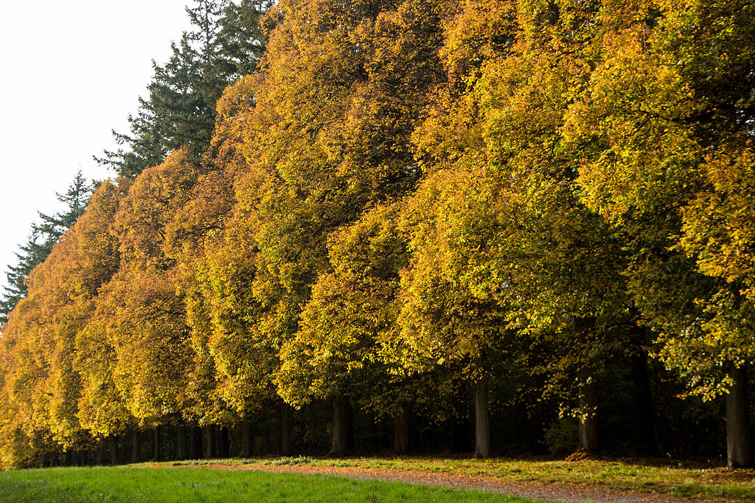 Fotos Konrad Thomann