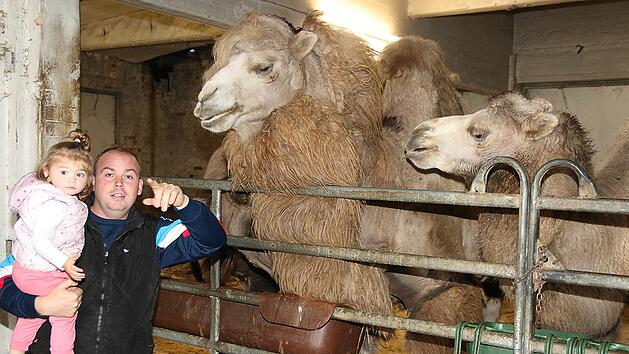 Robin Frank ist mit Tochter Lujane bei den gro&szlig;en Kamelen.