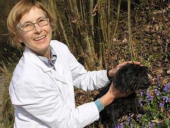 Hundedame Josy ist bei Frauchen und Tierärztin Barbara Rakow in guten Händen. Trotzdem mag der Pudel-Dackel-Mischling es gar nicht, früher aufzustehen. Den Tieren passt die Zeitumstellung bisweilen ebenso wenig wie manchen Menschen. Foto: Katja Kölbl