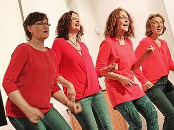 "Take Fives" schöne Stimmen und großartige Songs begeisterten auch das Lichtenfelser Publikum. Foto: Gerda Völk