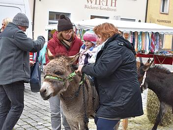Ein Ritt auf dem Esel Foto: Petra Malbrich