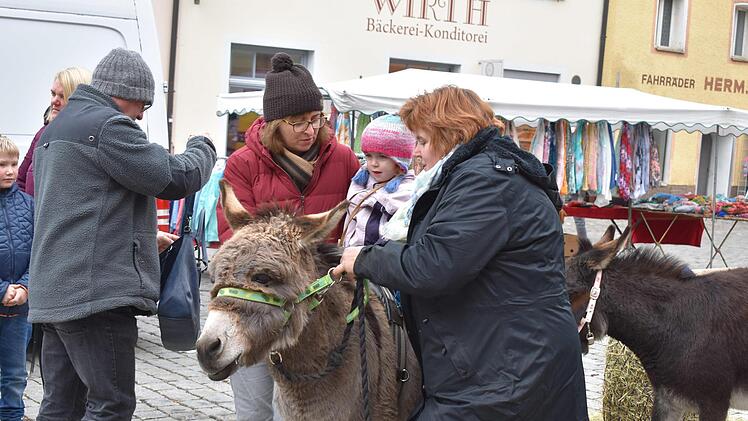 Ein Ritt auf dem Esel Foto: Petra Malbrich