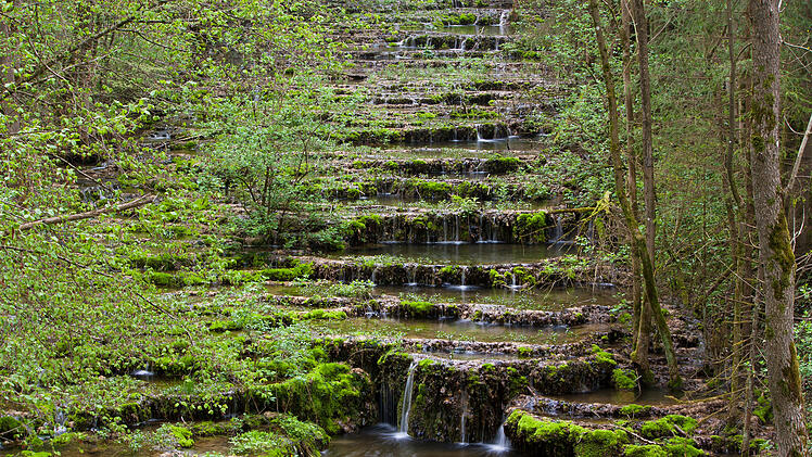 Sinterstufen Lillachtal Wei&szlig;enohe Fr&auml;nkische Schweiz Naturwunder Kalktuff Kalktuffterrassen Naturdenkmal Fr&uuml;hlingswanderung Wandern Franken Geotop Bayern Naturschutzgebiet Wasserfall Bachbett Moos Felsen Wanderweg Naturerlebnis Ausflugsziel Landkreis Forchheim Fr&uuml;hjahr Wandertipp Natur Sehensw&uuml;rdigkeit geologisch Teufelsgraben Lillachquelle Oberfranken