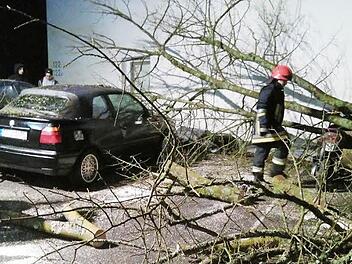 Die geparkten Autos waren vom herabfallenden Ast beschädigt worden. Fotos: Feuerwehr