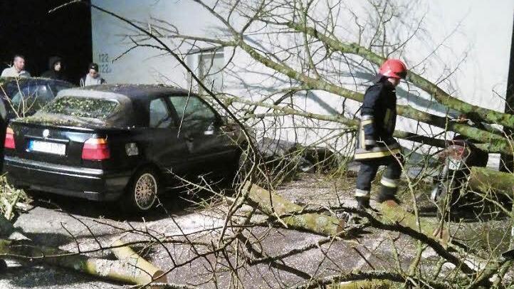 Die geparkten Autos waren vom herabfallenden Ast beschädigt worden. Fotos: Feuerwehr