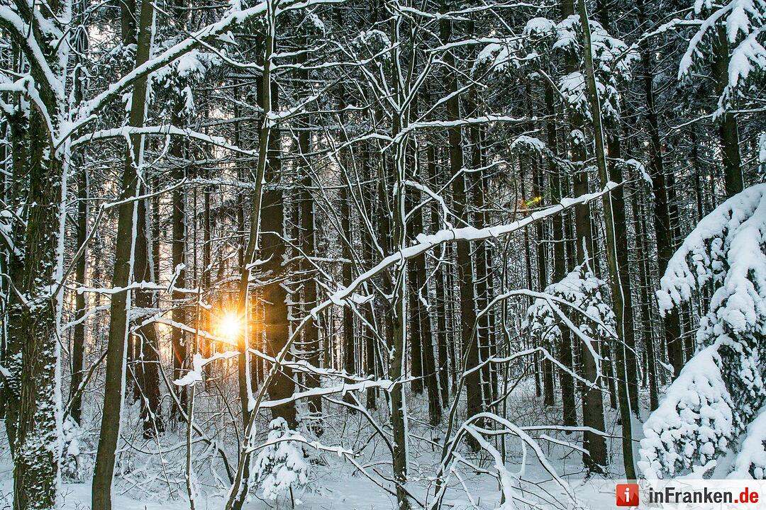 Eis und Schnee in Franken - die schönsten Winterleserfotos