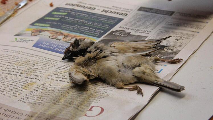 Eine leere Hülle...