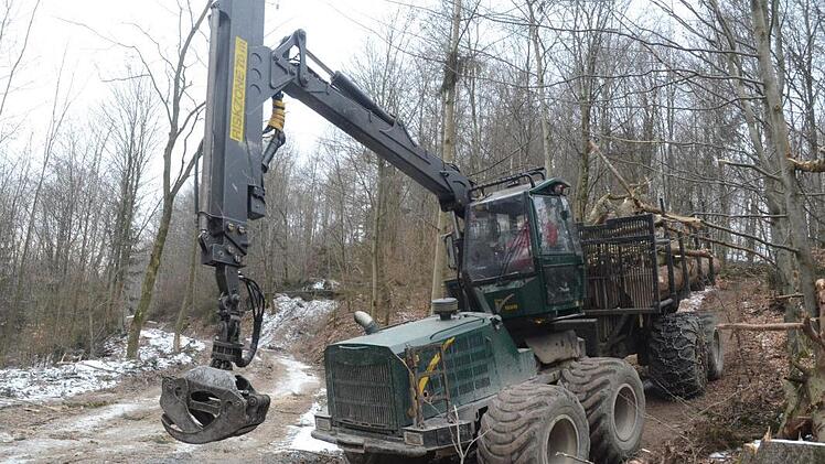 Harvester, spezielle Bagger und Seilschlepper sind im Einsatz, um die geschädigten Bäume aus dem Waldgebiet zu entfernen. Wegen der gefährlichen Fällarbeiten sollten die Absperrungen unbedingt beachtet werden. K.-H. Hofmann