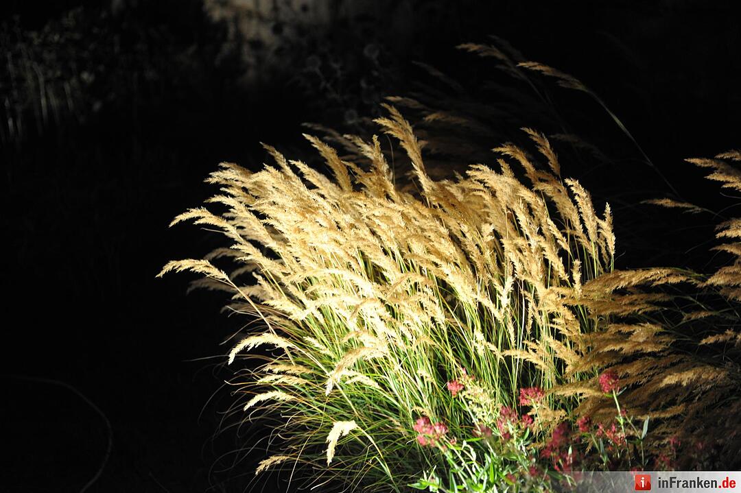 Impressionen der Museumsnacht Coburg