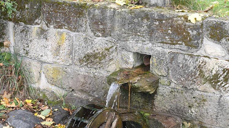 Zu Gast bei Gottfried Grau in Grössau. Foto: Ronald Rinklef