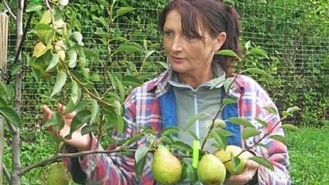Gabi Brück pflückt das Obst noch selbst