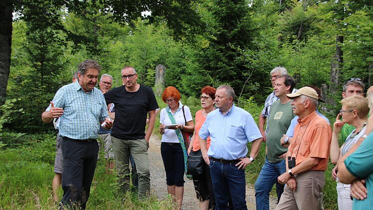 Eindrücke von der Fahrt in den Bayerischen Wald. Foto: Ralf Ruppert