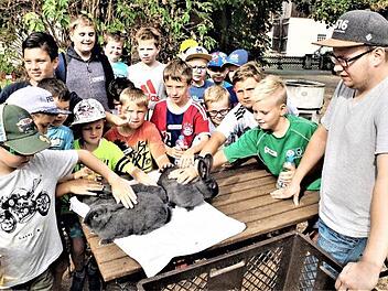 Die "Blauen Wiener" sind außerordentlich zahm. Rechts Vorsitzender Matthias Sprenger. Fotos: Gerd Fleischmann