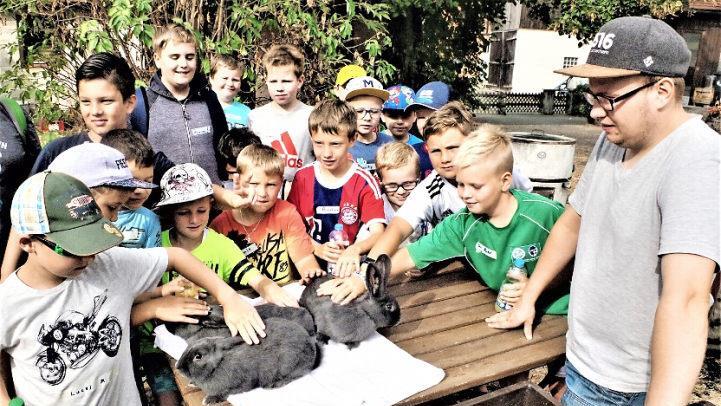 Die "Blauen Wiener" sind außerordentlich zahm. Rechts Vorsitzender Matthias Sprenger. Fotos: Gerd Fleischmann