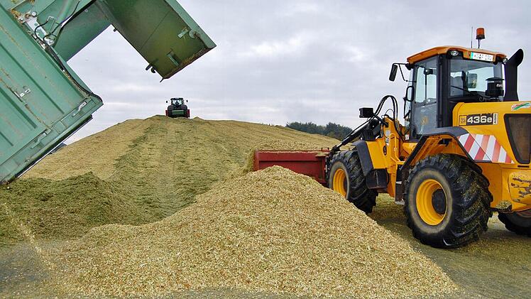 Maisernte für die Biogasanlage in Bad Bocklet. Foto: Sigismund von Dobschütz