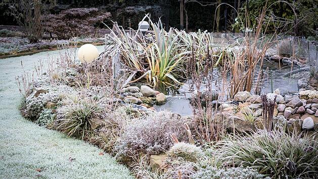 Nicht nur Pflanzen müssen vor dem Winter geschützt werden. Auch der Gartenteich erfordert winterfeste Pflege. Foto: Andrea/ stock.adobe.com