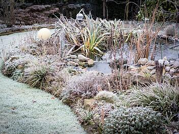 Nicht nur Pflanzen müssen vor dem Winter geschützt werden. Auch der Gartenteich erfordert winterfeste Pflege. Foto: Andrea/ stock.adobe.com