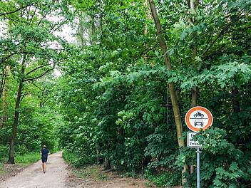 Wo könnte der Freistaat Bayern ein neues Gebäude für die Verkehrspolizei, die Polizeiinspektion Bamberg-Land und ein Trainingszentrum errichten? Die Verwaltung prüft derzeit weitere Alternativen zum zunächst geplanten Standort an der Armeestraße.  Foto: Stefan Fößel