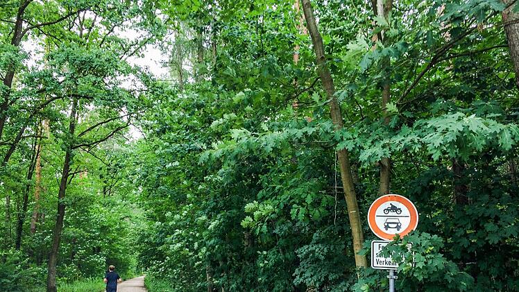 Wo könnte der Freistaat Bayern ein neues Gebäude für die Verkehrspolizei, die Polizeiinspektion Bamberg-Land und ein Trainingszentrum errichten? Die Verwaltung prüft derzeit weitere Alternativen zum zunächst geplanten Standort an der Armeestraße.  Foto: Stefan Fößel