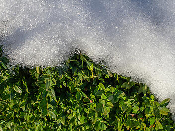 Wetter, Schnee, Fr&uuml;hling