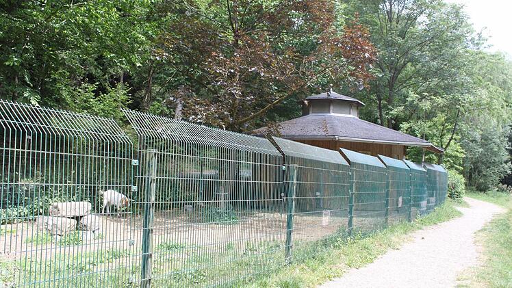 Das Kleintiergehege in der Nähe des Waldschwimmbads