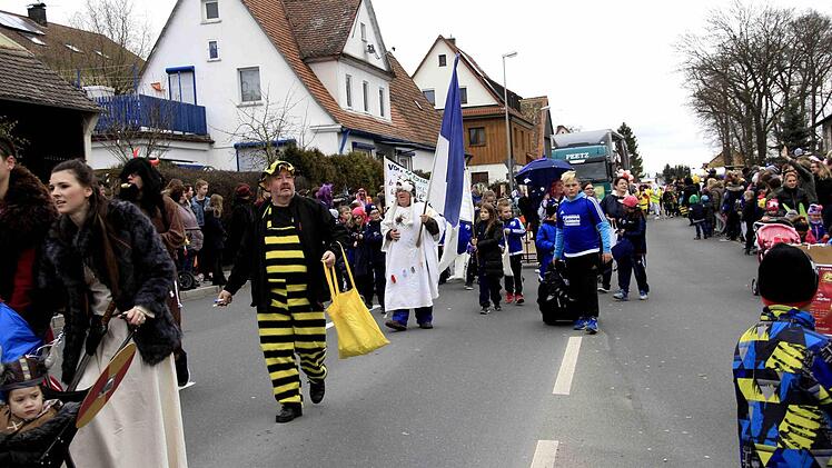 Impressionen vom Faschingsumzug der Weisendorfer Blummazupfer. Foto: Richard Sänger