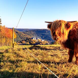 Die schönsten Herbstfotos aus Kronach und Umgebung