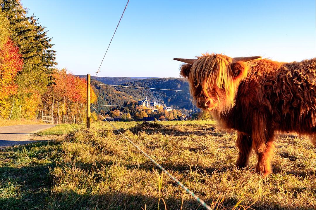 Die schönsten Herbstfotos aus Kronach und Umgebung