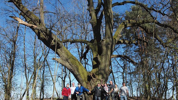 "Wir schützen unsere Linde", sagen diese Bürger. Foto: Stefanie Karl