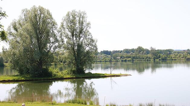 Die Mainaue wartet auf Badeg&auml;ste.Jochen N&uuml;tzel