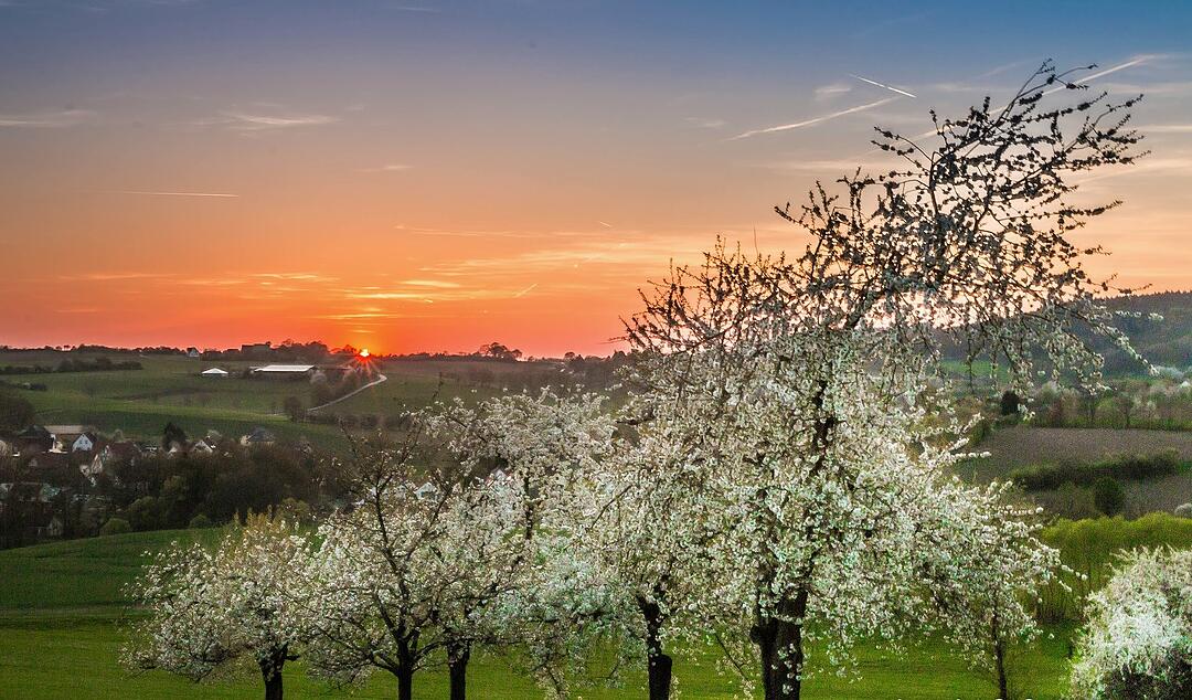 Frühling in Forchheim und Umgebung: Die schönsten Fotos unserer Nutzer