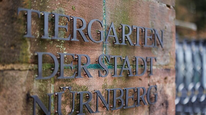 N&uuml;rnberg: Freier Tiergarteneintritt f&uuml;r kleine K&uuml;nstler am letzten Ferientag