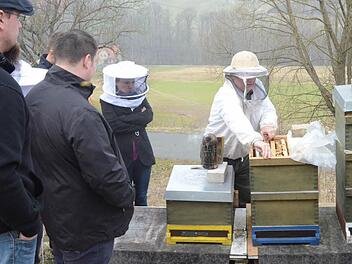 Reimund Schuberth nimmt eine mit Bienen besetzte Wabe heraus, um den Teilnehmern einen Blick in die Welt der Bienen zu gewähren. Foto: Karl-Heinz Hofmann