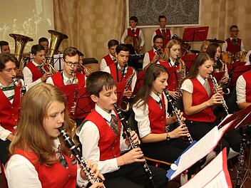 Das Jugendorchester Rödental überzeugte beim Jubiläumskonzert. Foto: Michael Stelzner