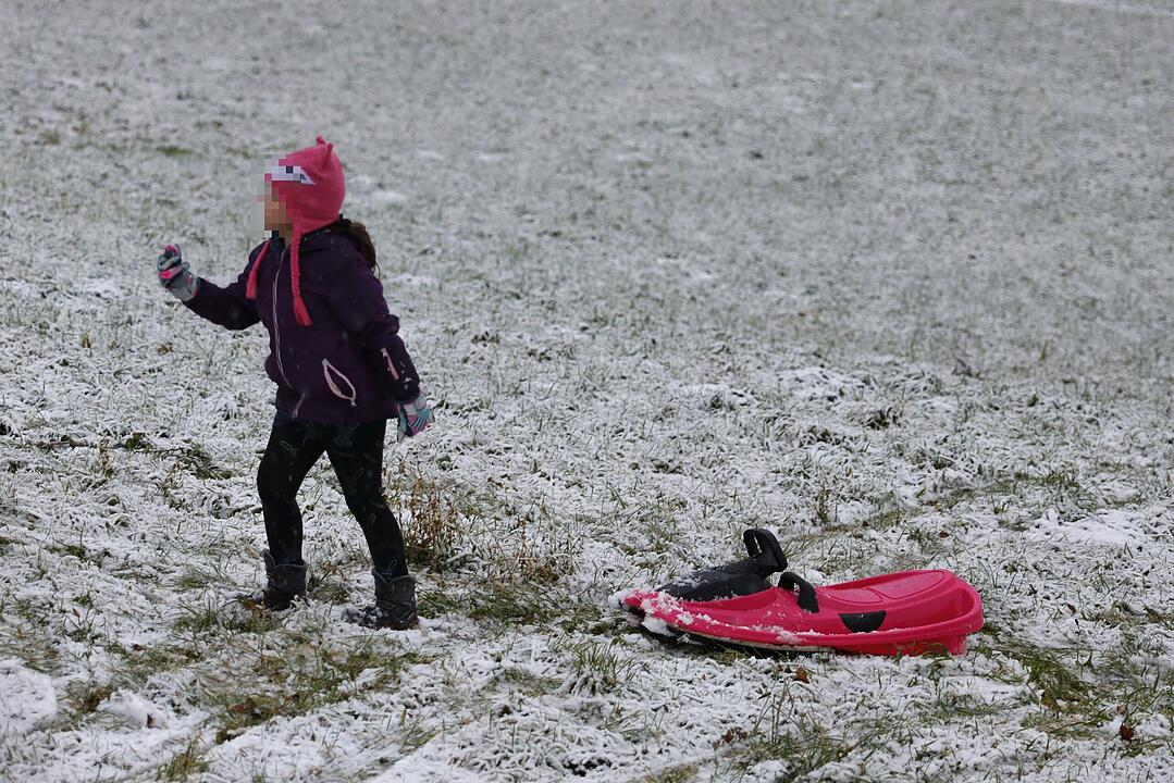 Schneegestöber und erste Schlittenfahrten: Winterliches Wetter in Mittelfranken