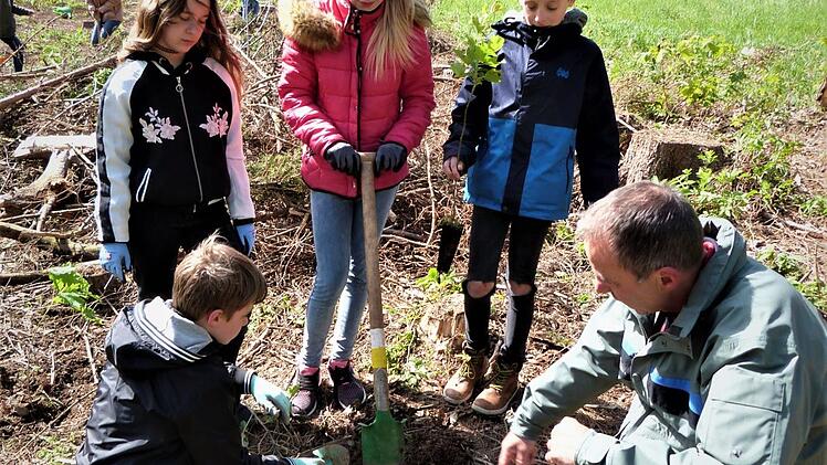 Forstbeamter Steffen Auerswald zeigt den Schülern, wie gepflanzt wird.