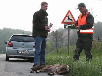 Ein Wildunfall muss gemeldet werden, am besten direkt mit dem Handy bei der Polizei.  Foto: Marcus Börner/djv