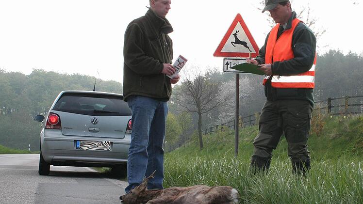 Ein Wildunfall muss gemeldet werden, am besten direkt mit dem Handy bei der Polizei.  Foto: Marcus Börner/djv